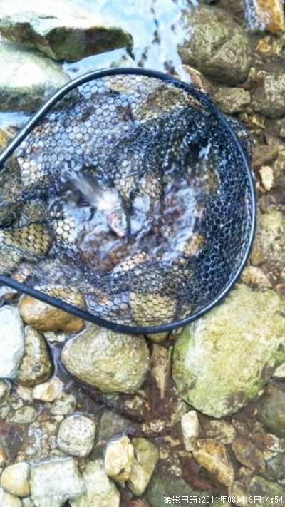 �쥤��ܡ��ȥ饦��