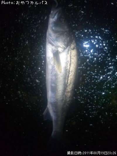 �����Х�