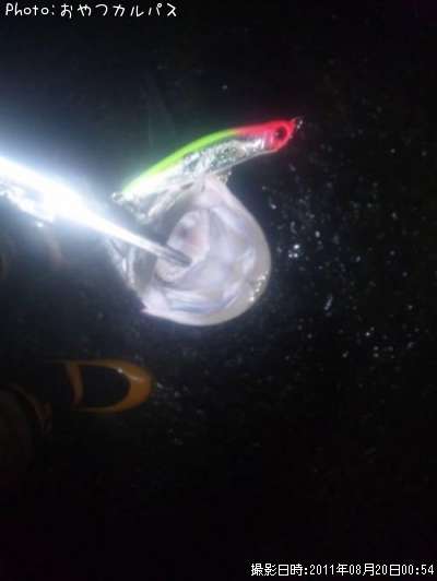 �����Х�