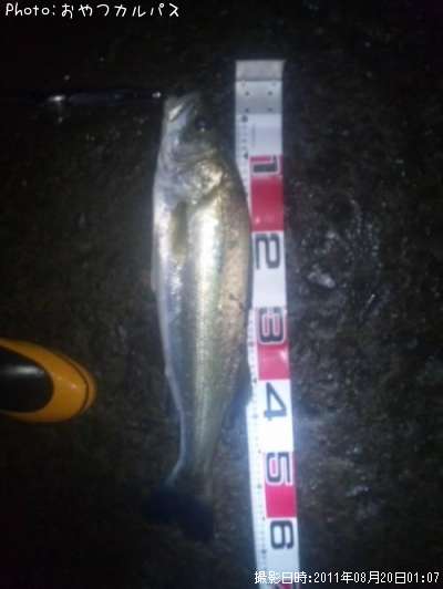 �����Х�