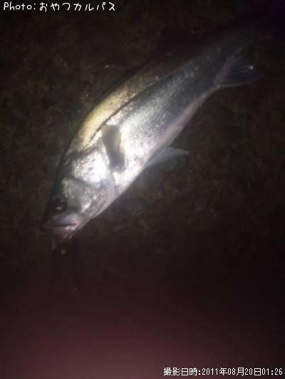 �����Х�