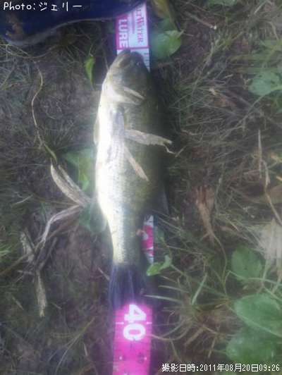 �֥�å��Х�