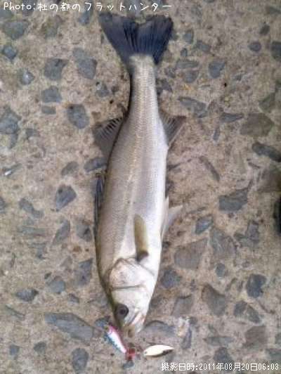 �����Х�