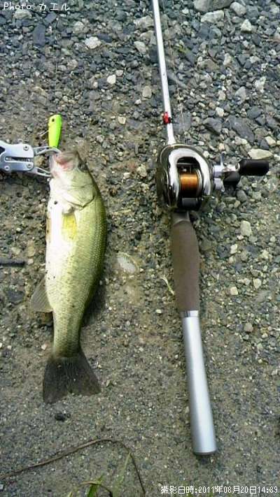 �֥�å��Х�