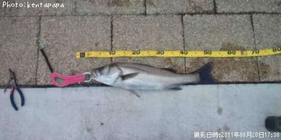 �����Х�