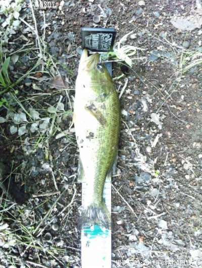 �֥�å��Х�