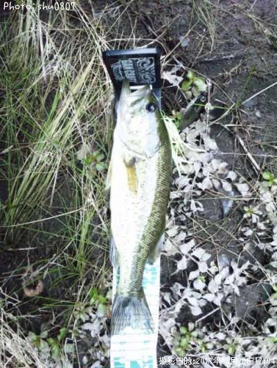 �֥�å��Х�