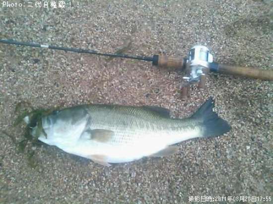 �֥�å��Х�