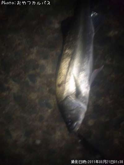 �����Х�