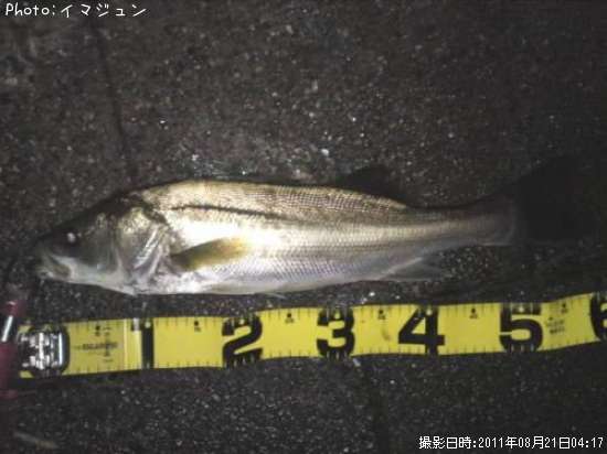 �����Х�