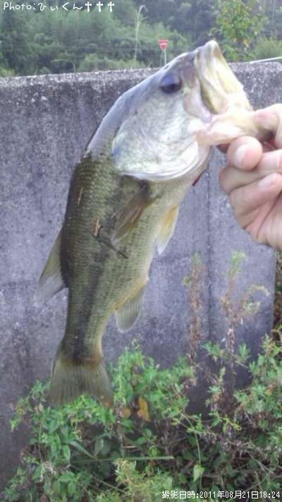 �֥�å��Х�