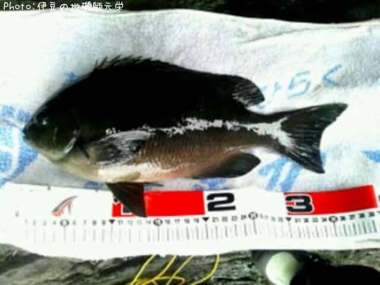 �����᥸��