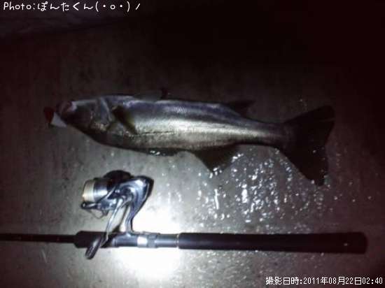 �����Х�