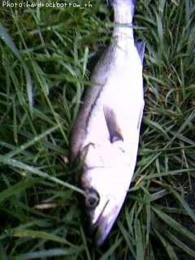 �����Х�