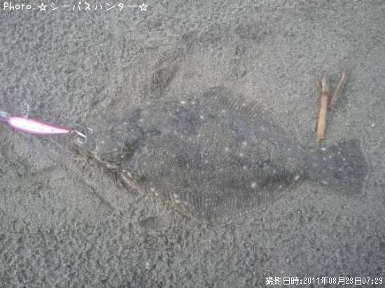 �ҥ������