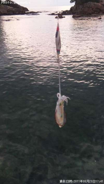 �����ꥤ��