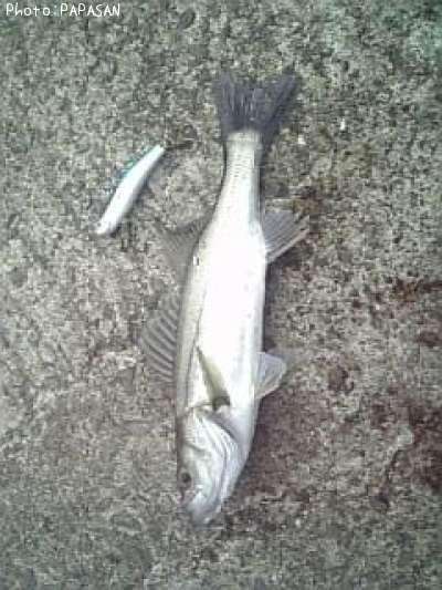 �����Х�