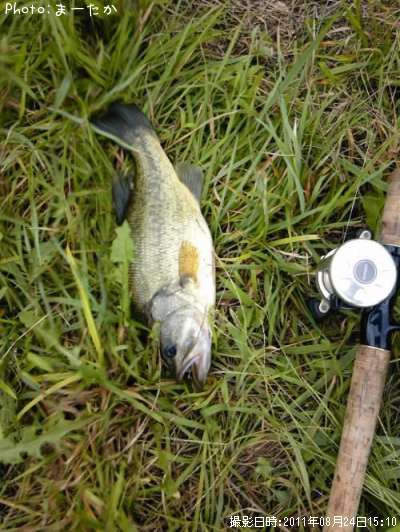 �֥�å��Х�