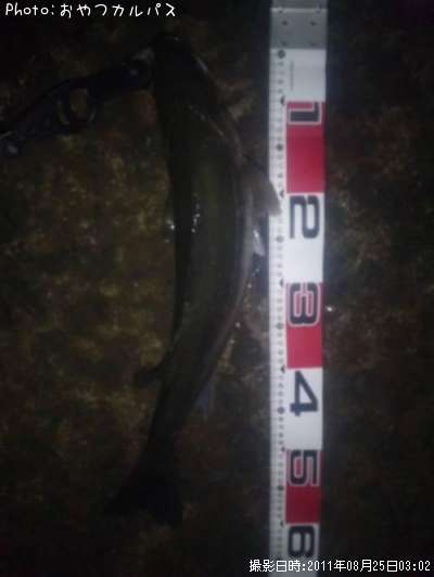 �����Х�