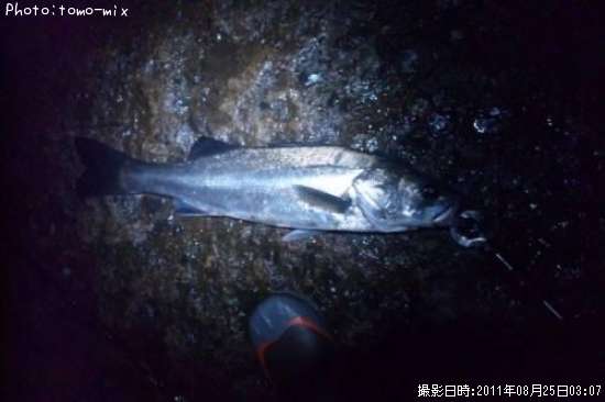 �����Х�