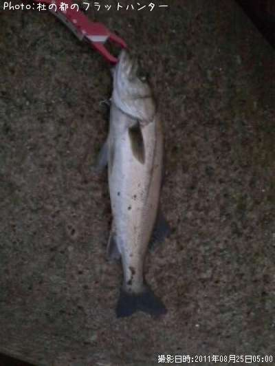 �����Х�