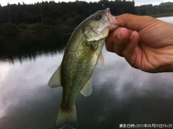 �֥�å��Х�