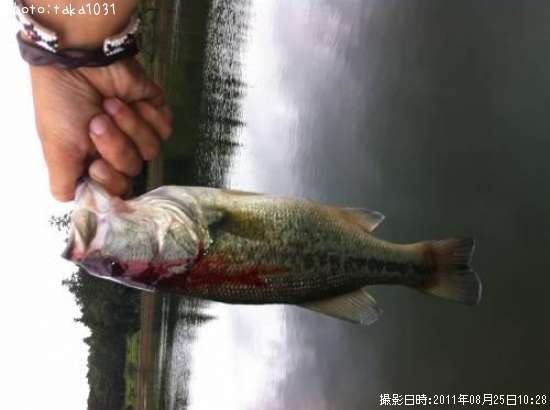 �֥�å��Х�