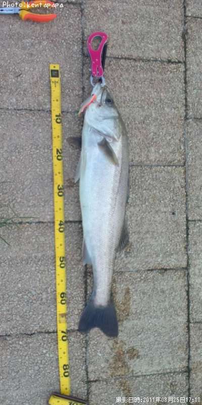 �����Х�