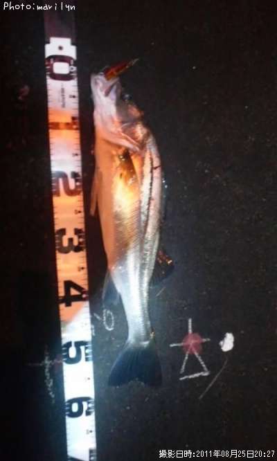 �����Х�