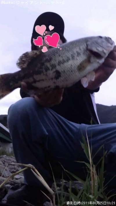 �֥�å��Х�