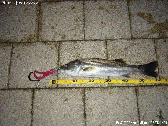 �����Х�