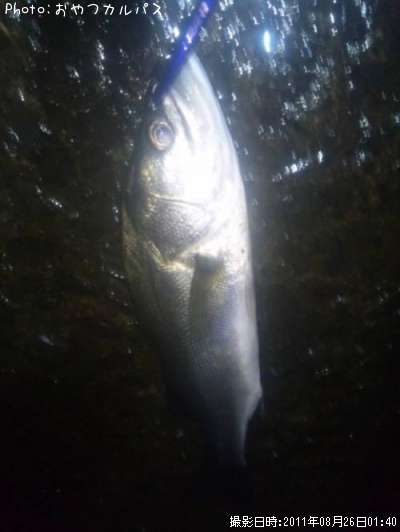 �����Х�