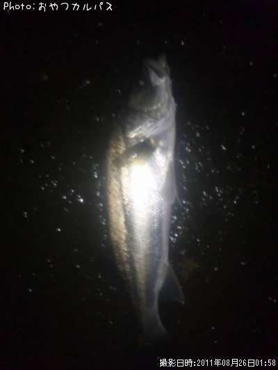 �����Х�