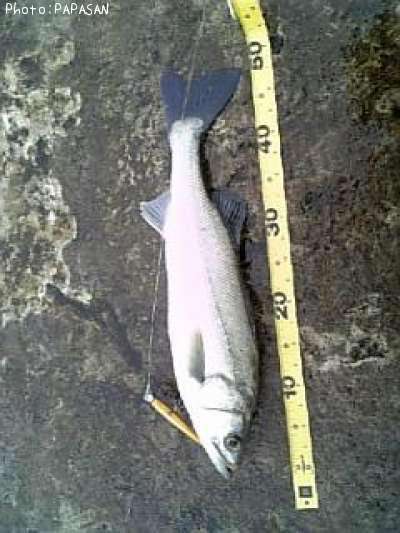 �����Х�