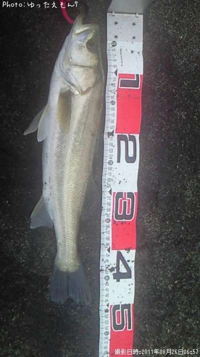 �����Х�