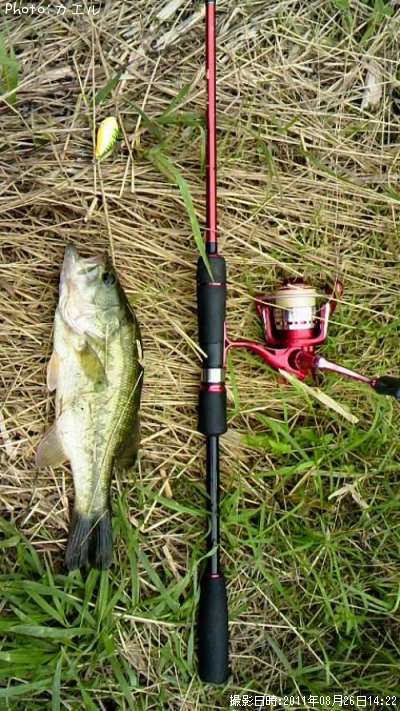 �֥�å��Х�