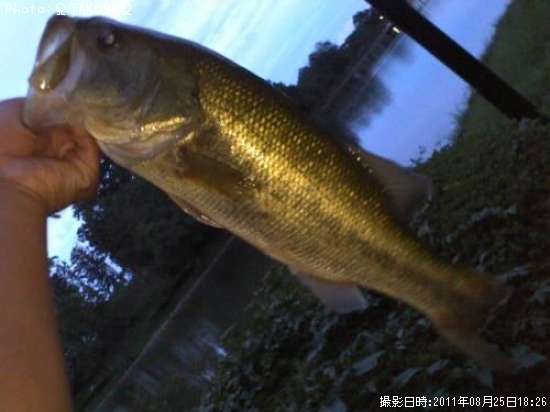 �֥�å��Х�