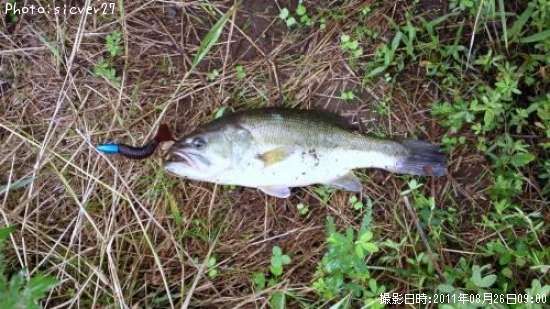 �֥�å��Х�