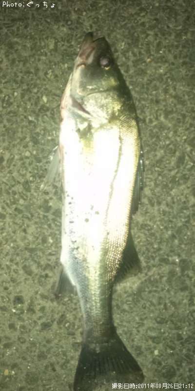 �����Х�