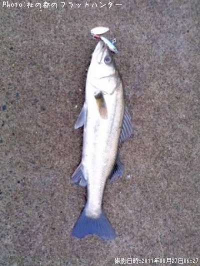 �����Х�