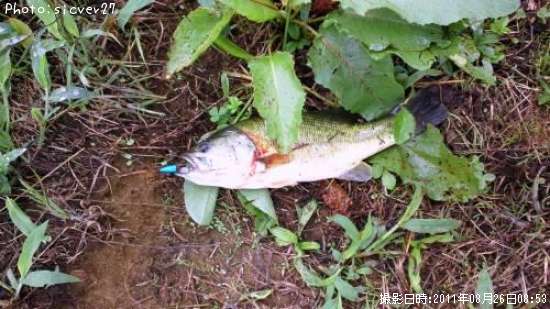 �֥�å��Х�