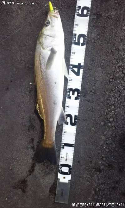 �����Х�