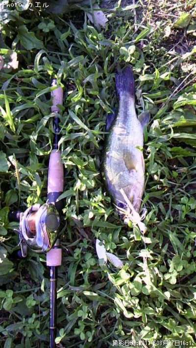 �֥�å��Х�