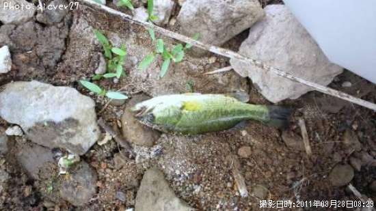 �֥�å��Х�