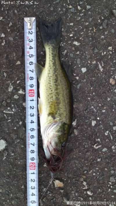 �֥�å��Х�