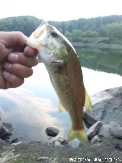 �֥�å��Х�