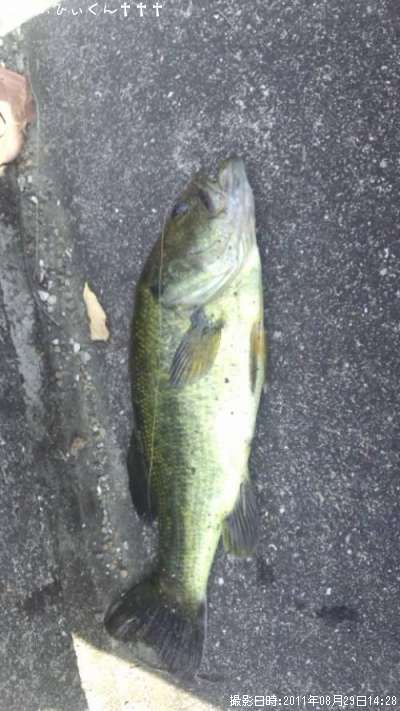 �֥�å��Х�