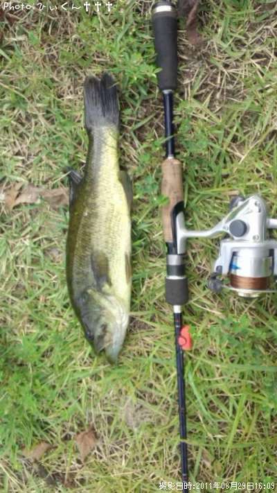 �֥�å��Х�