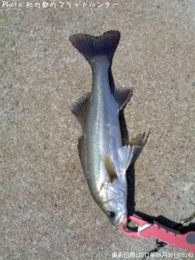 �����Х�