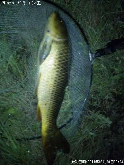 �񡡥�����